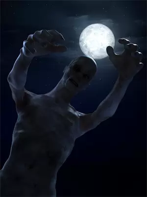 白眼狼养成记村头的阿黑剧透